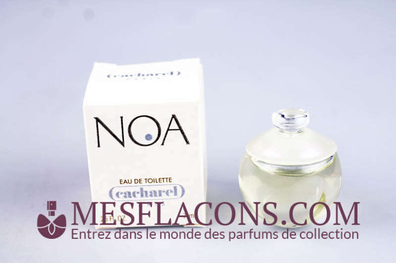 Noa