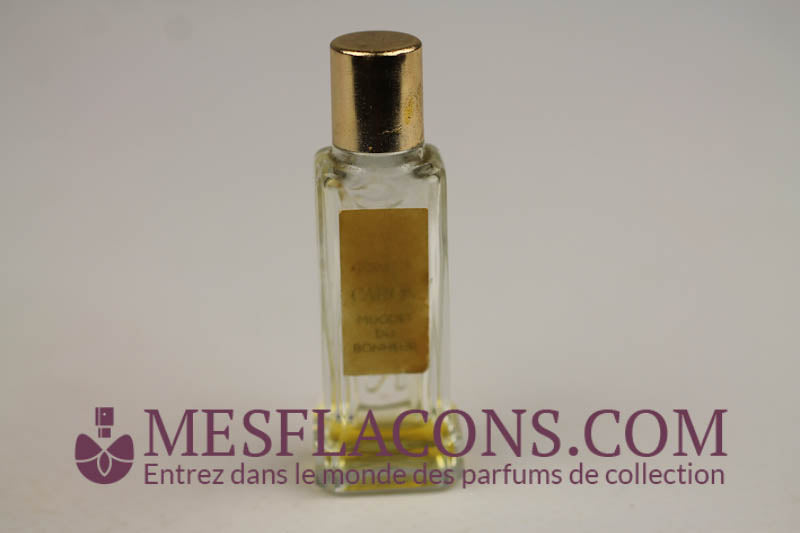 Muguet du bonheur