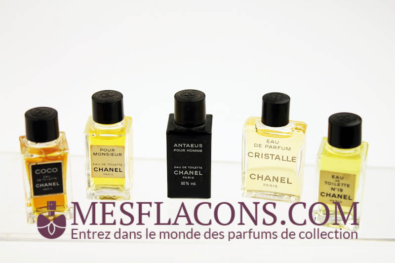 Lot de 5 miniatures masculines, variantes différentes -L2