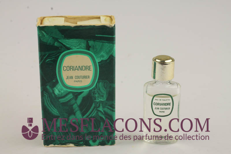 Coriandre (Variante 1)
