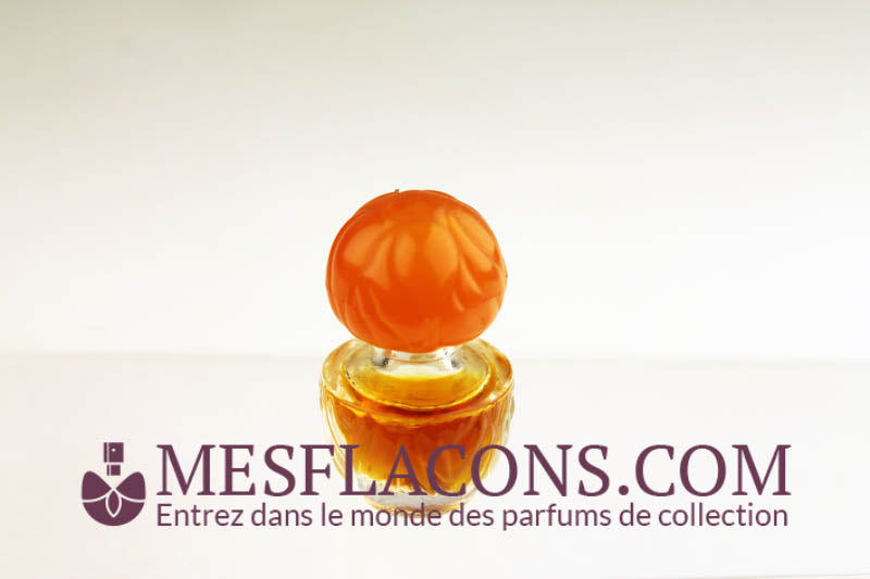 Fleurs du monde (Variante 1)