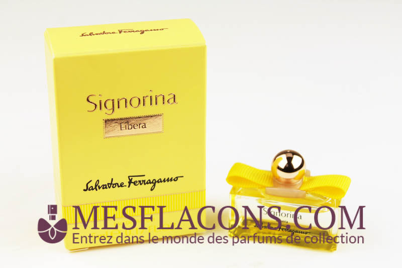 Signorina - Libera (new 2023)