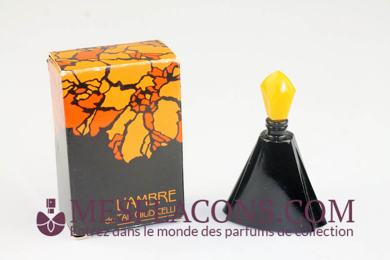 L'ambre