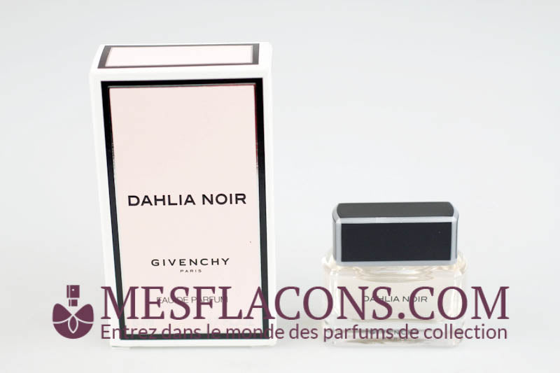 Dahlia noir
