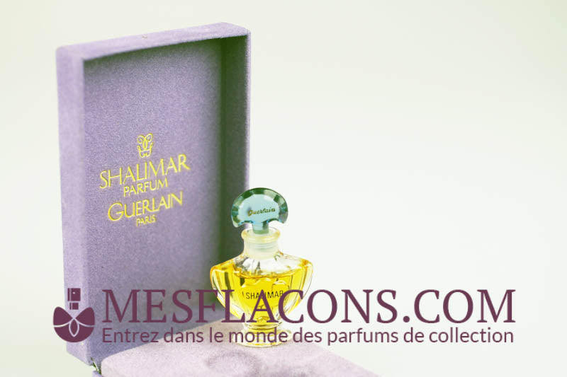 Shalimar - Version récente