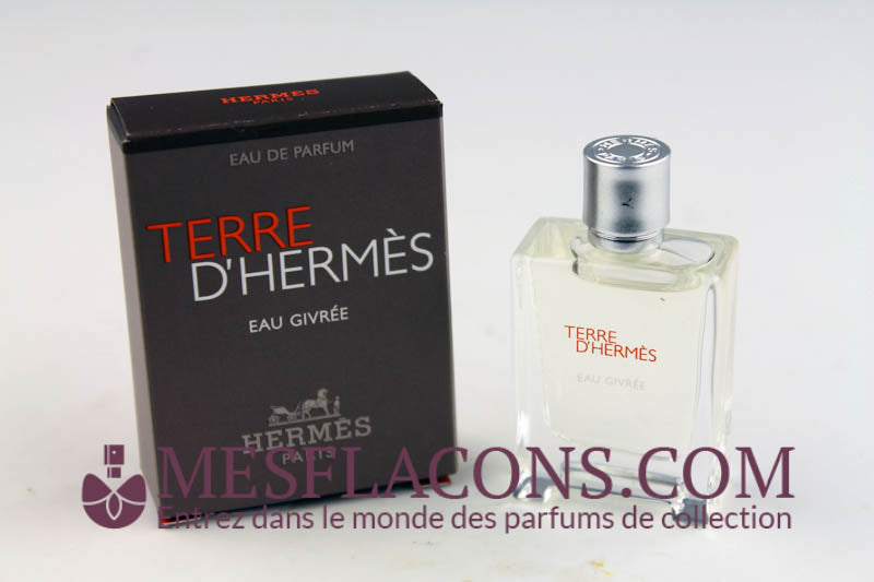 Terre d'Hermès - Eau givrée