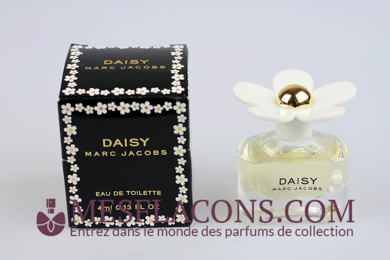 Daisy - Fleur blanche
