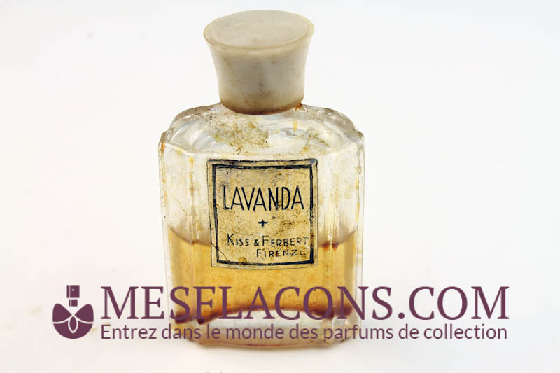 Lavanda