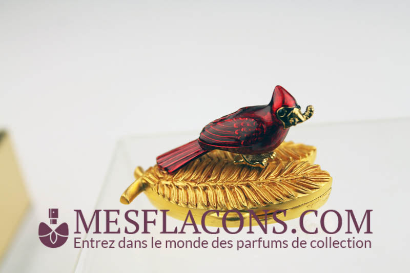 Concrète - Beautiful, Brillant cardinal