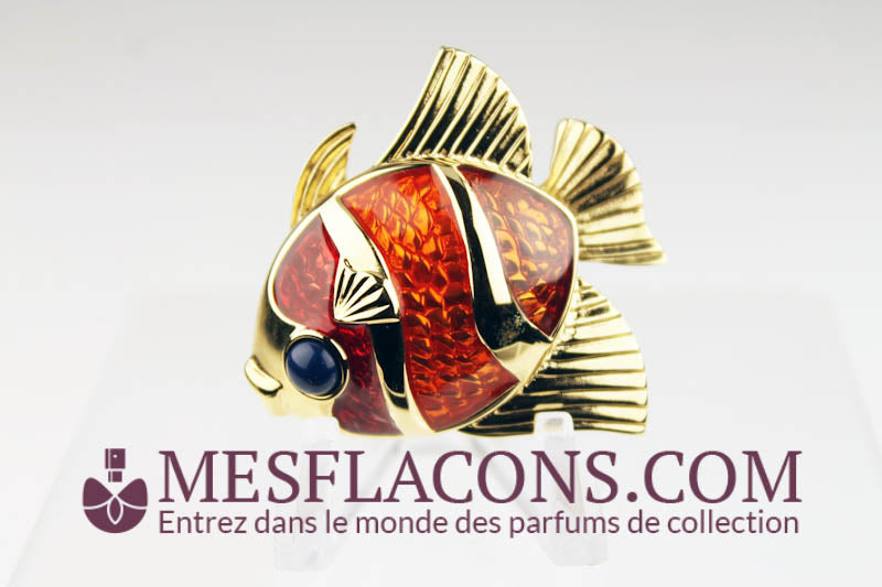 Concrète - Beautiful, Tropical fish
