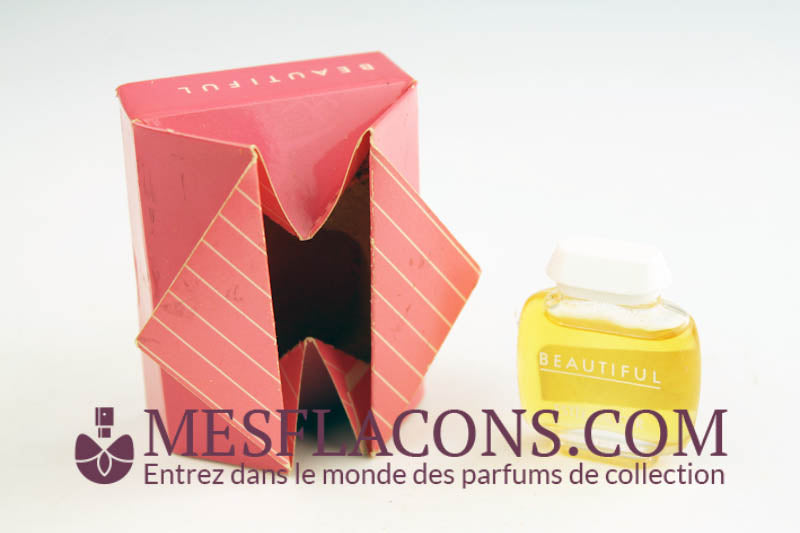 Beautiful (présentation boite origami)