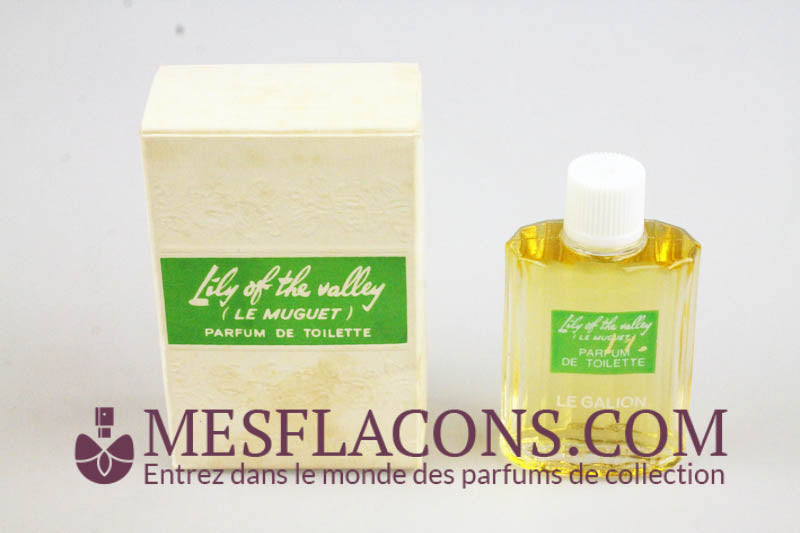 Lily of the valley (Le muguet)