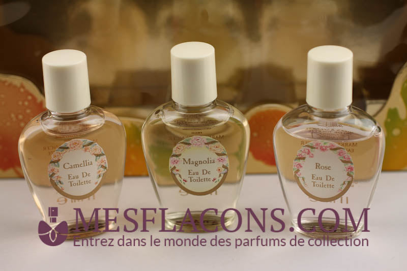Coffret - St Michael