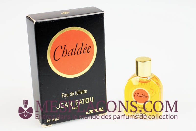 Chaldée