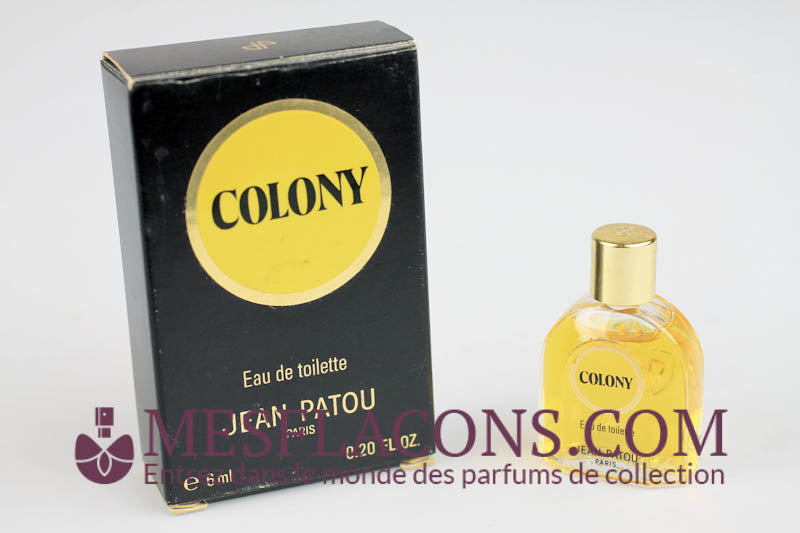 Colony