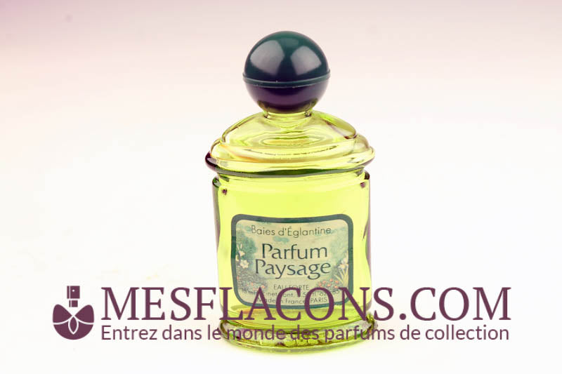 Eau Forte - Baies d'églantine