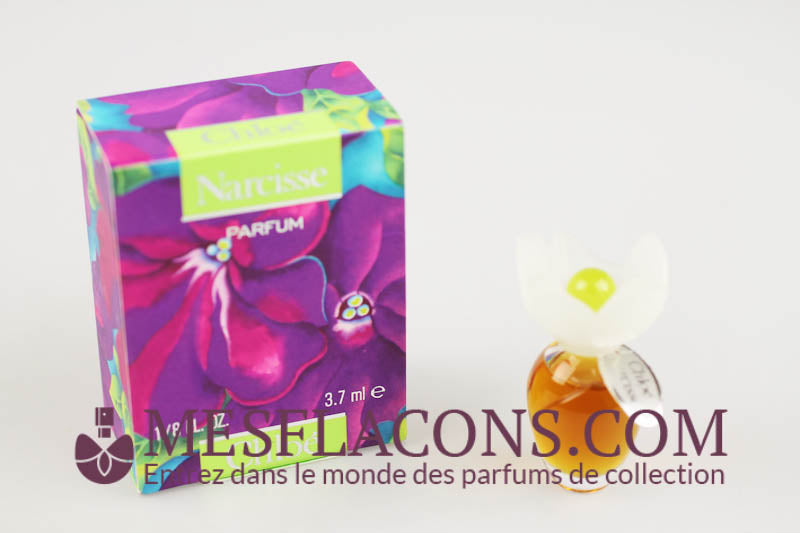 Narcisse