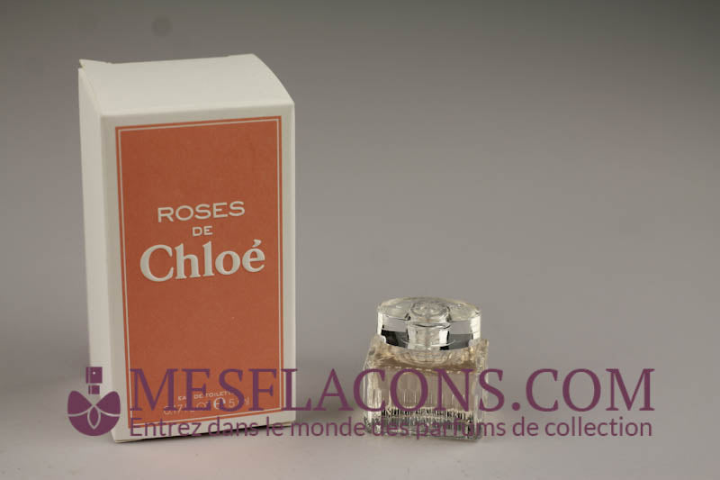 Roses de Chloé