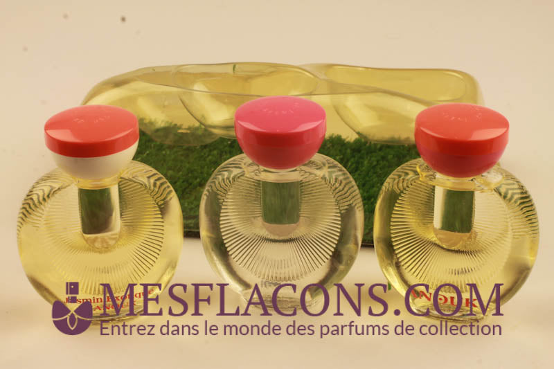 Coffret - Le jardin d'Anouk