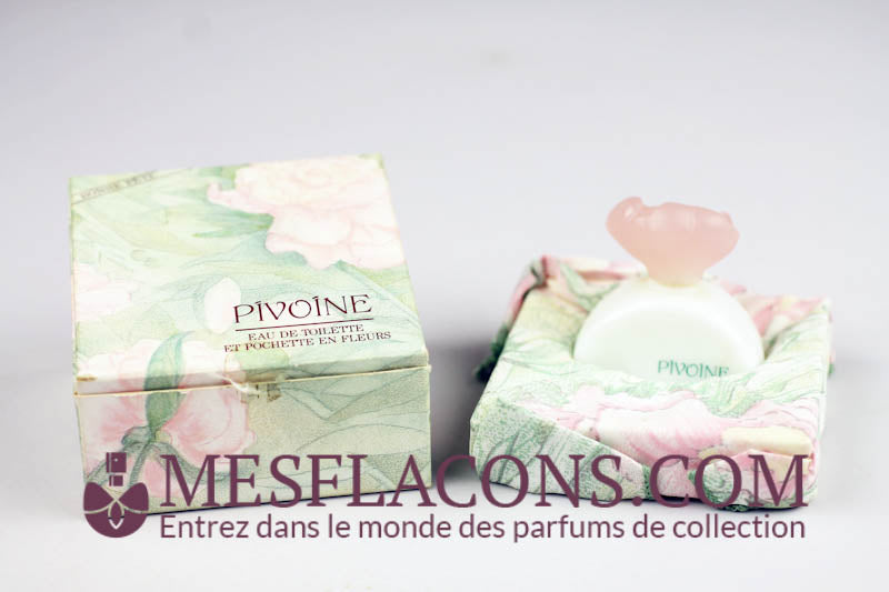 Pivoine - bonne fête