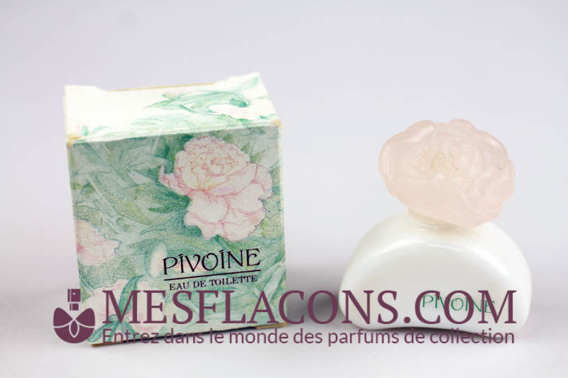 Pivoine