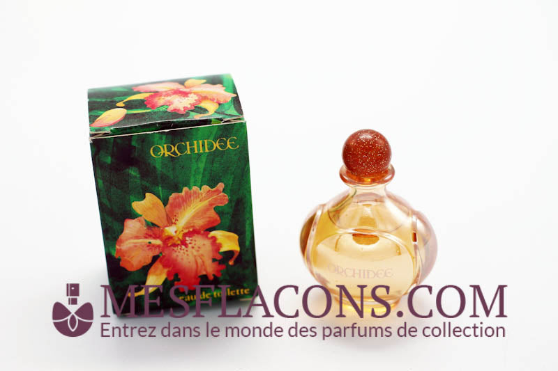 Orchidée