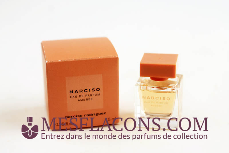 Narciso - ambrée (new 2020)