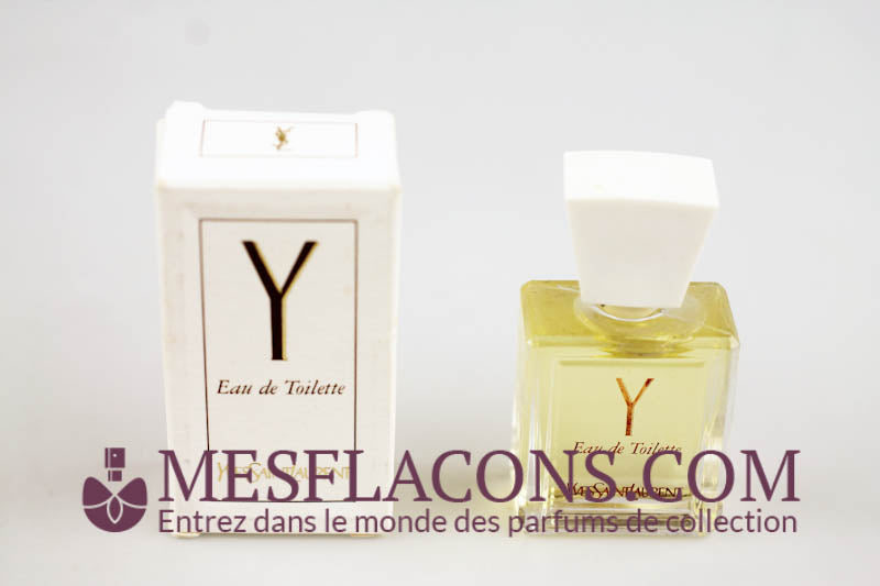 Y